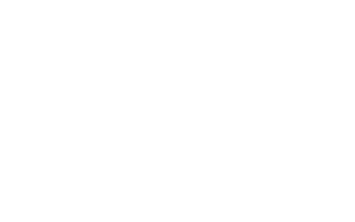 Lynk & Co