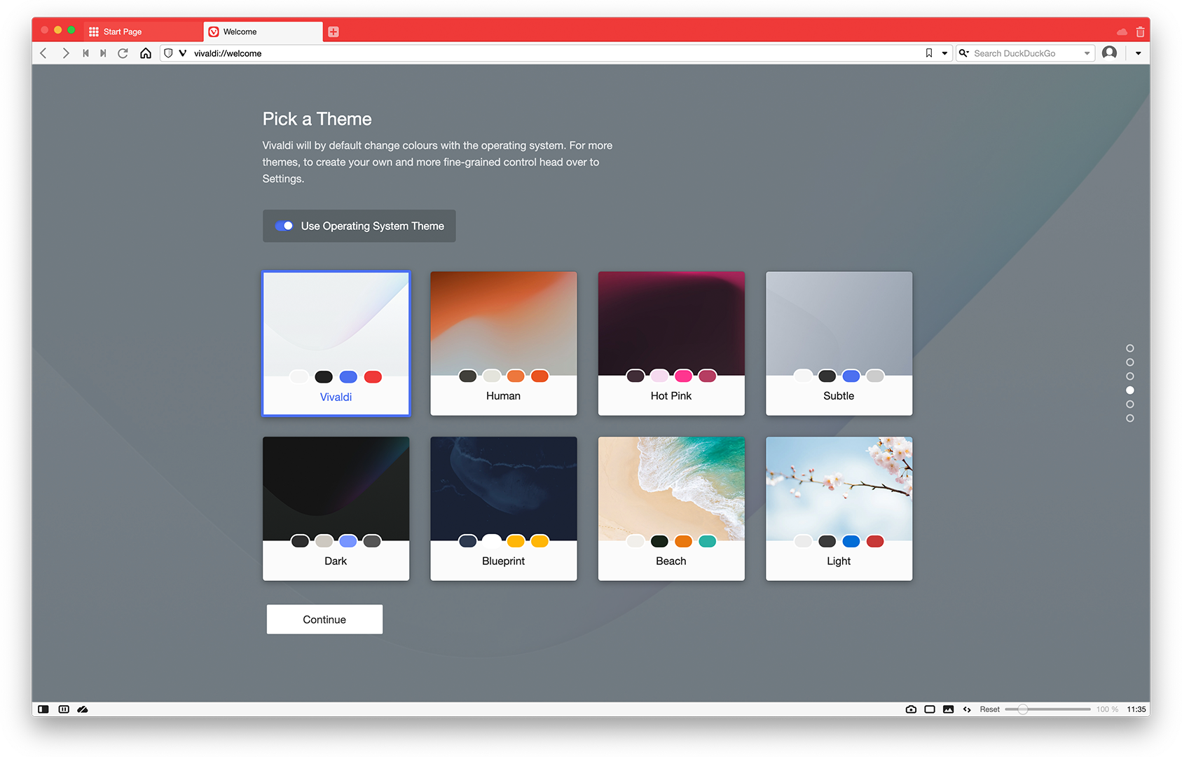 Themes in Vivaldi browser.