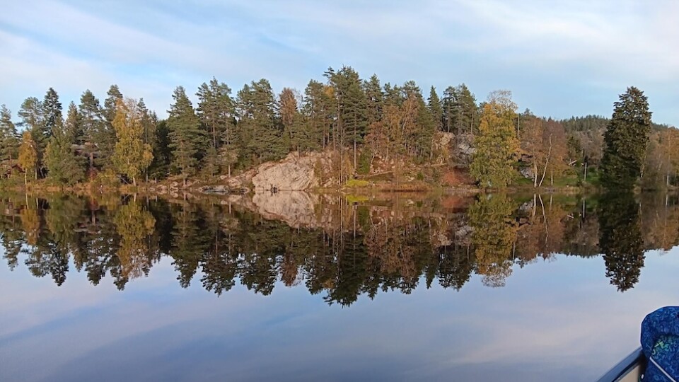 Image of a lake with terrain at the shore line (trees and a hill) reflected in the clear water